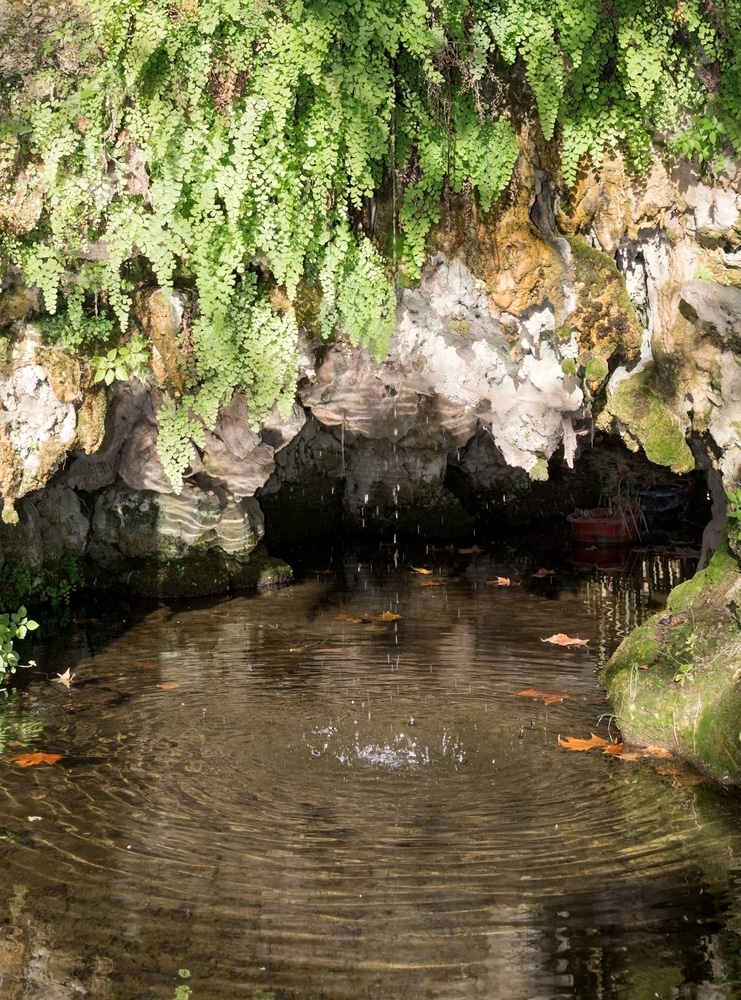 Tropfsteinhöhle mit Farnen auf Mallorca