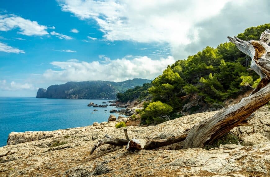 Geheime Fotospots auf Mallorca, die nur lokale Fotografen kennen