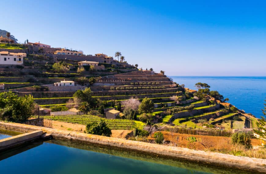 Weingenuss auf Mallorca Die besten Weingüter für eine unvergessliche Verkostung