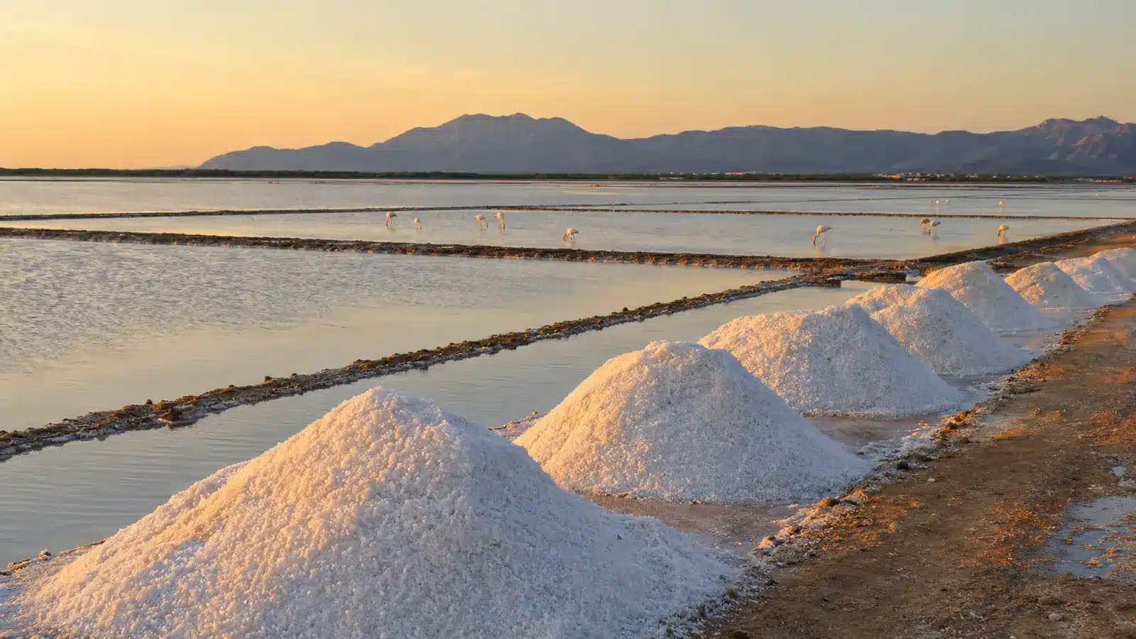 Colònia de Sant Jordi gehört zur Gemeinde Ses Salines und entwickelte sich vom Fischerei- und Salzort zum beliebten Urlaubsziel. auf Mallorca – Strand, Küste und Atmosphäre