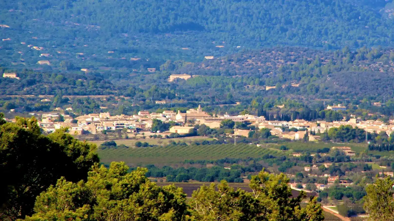 Fotoshooting in Consell liegt im Raiguer zwischen Palma, Binissalem und den ersten Tramuntana-Ausläufern. Der Ort ist ein kompakter Weinort am Fuß der Serra de Tramuntana und eignet sich als Ausgangspunkt für Binissalem, Santa Maria del Camí, Alaró. Ortskern, Landschaftsziele und mögliche Küstenstopps sollten wegen unterschiedlicher Zufahrten getrennt geplant werden. auf Mallorca