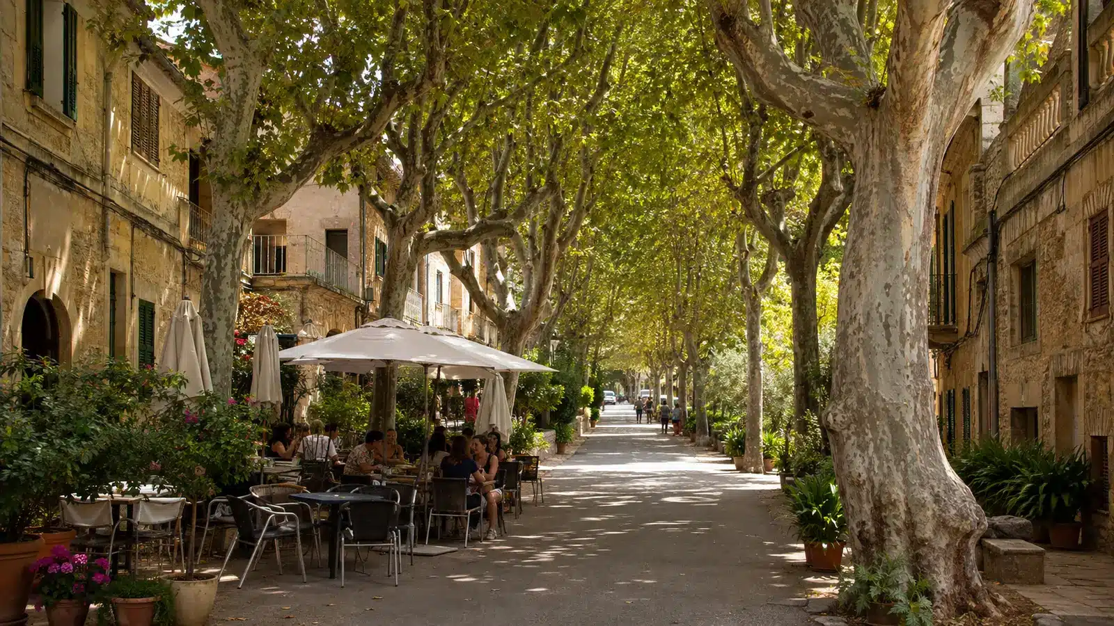 Esporles gehört zur Serra de Tramuntana und liegt in einem bewaldeten Tal unweit von Palma. auf Mallorca – Sehenswürdigkeit und Landschaft