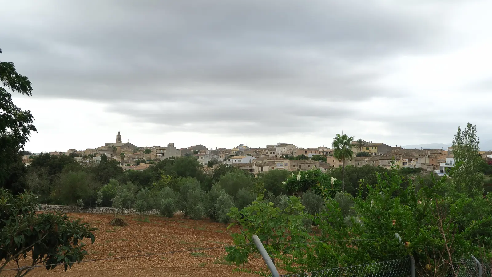 Fotoshooting in Llubí liegt zwischen Feldern, Windmühlen und kleinen Straßen im nördlichen Inselinneren. Der Ort ist ein traditioneller Landort im Pla de Mallorca und eignet sich als Ausgangspunkt für Muro, Sineu, Sa Pobla. Ortskern, Landschaftsziele und mögliche Küstenstopps sollten wegen unterschiedlicher Zufahrten getrennt geplant werden. auf Mallorca