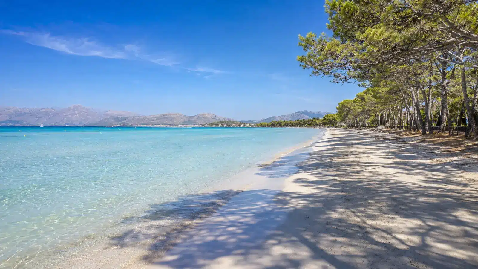 Fotoshooting in Port d’Alcúdia gehört zur Gemeinde Alcúdia. Dadurch teilt der Ort Verwaltung, Infrastruktur und viele regionale Angebote mit weiteren Siedlungen und Landschaftsräumen der Gemeinde. auf Mallorca