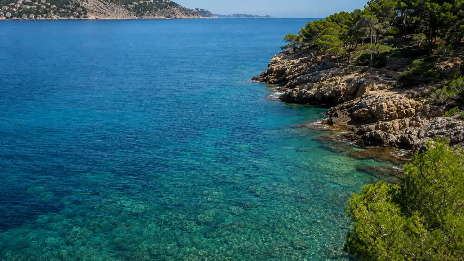 Port d’Andratx gehört zur Gemeinde Andratx. Der Hafenort ist das maritime Zentrum der Gemeinde und liegt wenige Kilometer vom historischen Hauptort entfernt. auf Mallorca – Strand, Küste und Atmosphäre