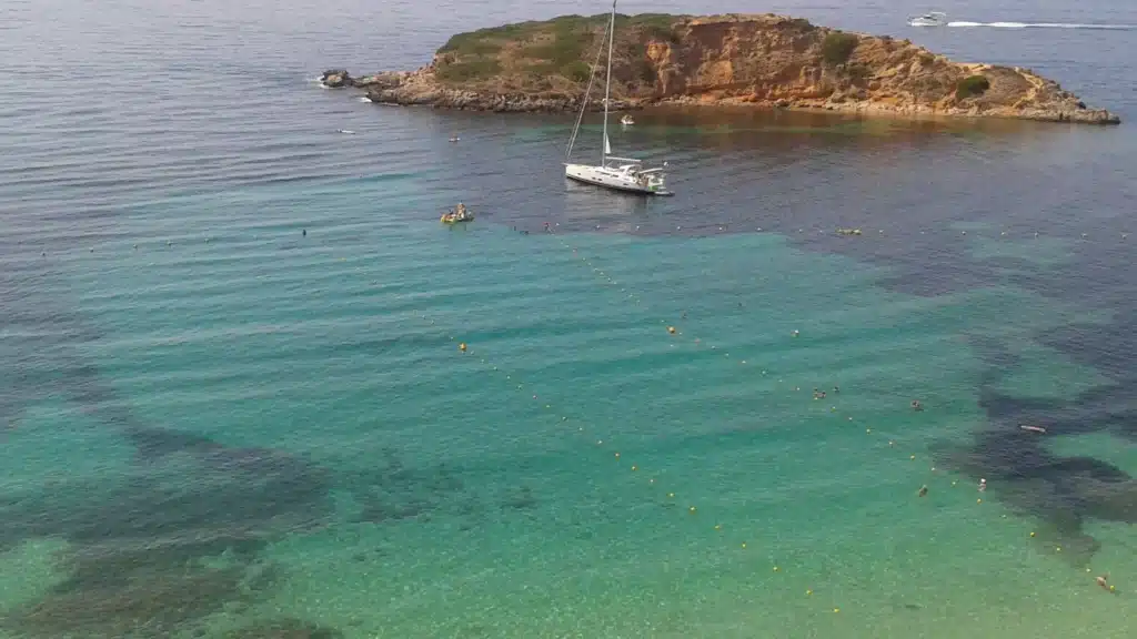 Portals Nous auf Mallorca mit Küsten- oder Ortslandschaft